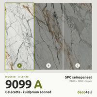 SPC-seinapaneel