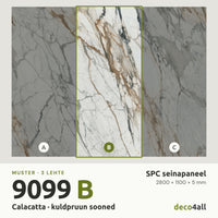 SPC-seinapaneel