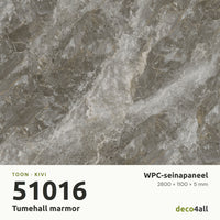 WPC-seinapaneel